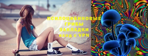 а пвп мука Бородино